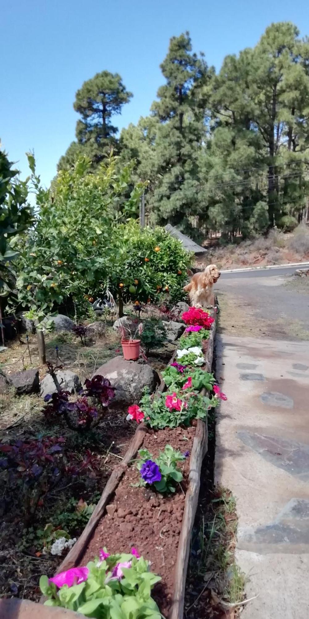 Casa Fagundo Διαμέρισμα Πούντα Γκόρντα Εξωτερικό φωτογραφία